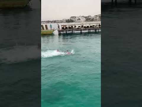 Акула утащила мужчину в море момент инцидента #2023 #beautiful #beauty #boy #рекомендации