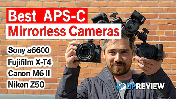 Which Canon cameras have APS-C?