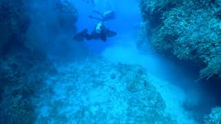 Scuba diving in Nassau, Bahamas.