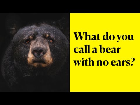 Funny food jokes that you can't stop laughing Vol4