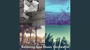 Relaxing Backdrops for Steam Baths