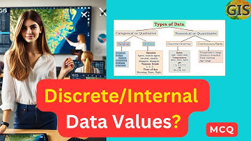 What are Discrete Data Values? | What are Internal Data Values?