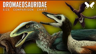 DROMAEOSAURIDAE. (dromaeosaurs) size comparison chart of ¨raptors¨