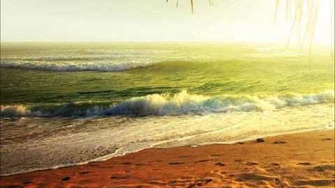 الشيخ محمد خليل القارئ - سوره البروج