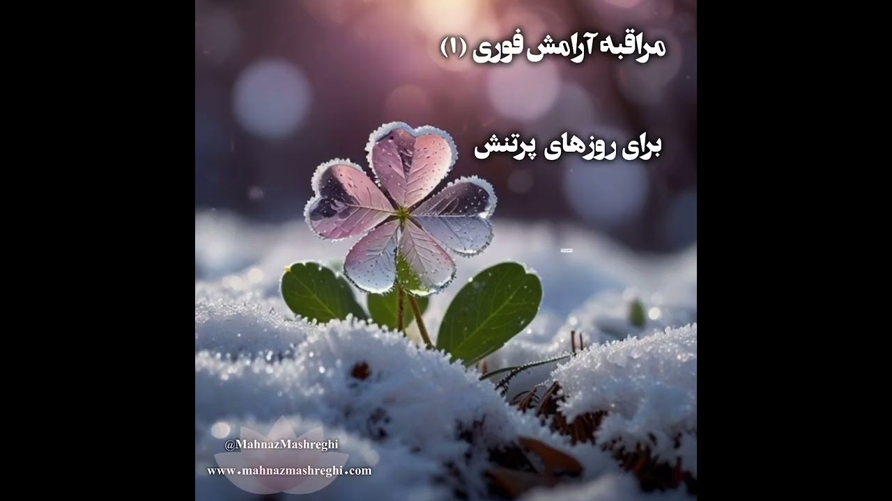 مراقبه آرامش فوری برای روزهای پر تنش