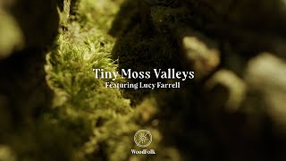 WoodFolk - Tiny Moss Valleys - Featuring Lucy Farrell - Official Video