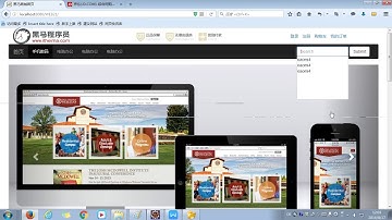 0220 案例 站内搜索