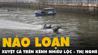 Xuyệt cá náo loạn, rác trôi thành dòng trên kênh Nhiêu Lộc - Thị Nghè