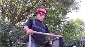 BEST TREE TRIMMING & REMOVAL Cannonball Bobcat & Tree Service Inc. Yorkville Illinois (630) 674-5663