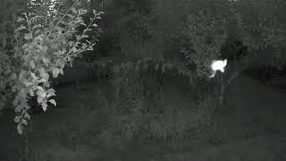 Flying Anomaly on Infrared Camera
