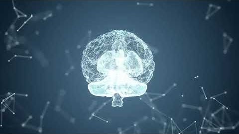 Abstract Brain And Plexus   Free HD Video Clips & Stock Video Footage