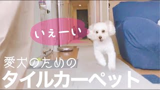 【東リ　タイルカーペット】愛犬のためにタイルカーペット敷いてみた！
