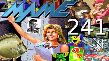 MAME 241 - What