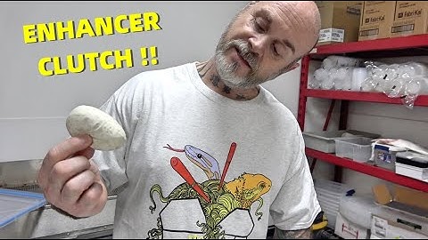 The Real Combo Enhancer Ball Python Clutch! The Missing Footage!