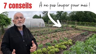 Les erreurs à éviter au potager en mai 🤔