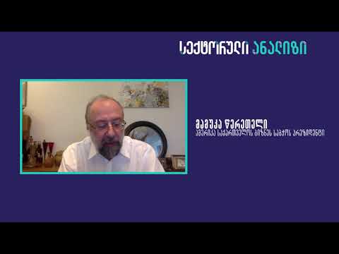 სექტორული ანალიზი | მამუკა წერეთელი