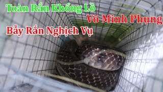 Võ Minh Phụng : Bẫy Rắn Nghịch Vụ , Điểm yếu C.h.ế.t Người | Miền Tây Sông Nước