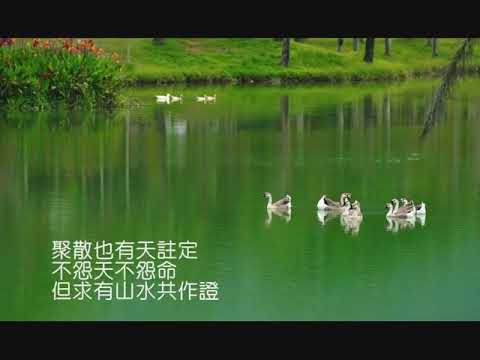 汪明荃 萬水千山總是情
