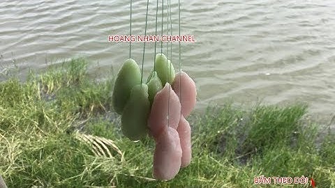 Hướng dẫn làm mồi tinh cháo câu cá tra - Phóng Sự Hồ Xuân Hương - THEGIOICAUCA.COM