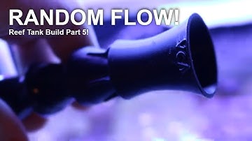 How to add the BEST Random flow to a new Reef Aquarium!