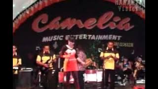 camelia-yang voc.evis renata