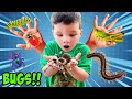 Mystery bug catching caleb looks for gross bugs and insects with kids explorer hunting kit