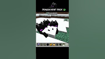 New dragon head trick 😁 #minecraft #dragon