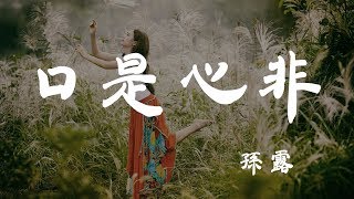 Video voorbeeld van "口是心非 - 孫露  - 『超高无损音質』【動態歌詞Lyrics】"