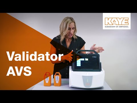 Kaye Validator AVS - Advanced Validation System