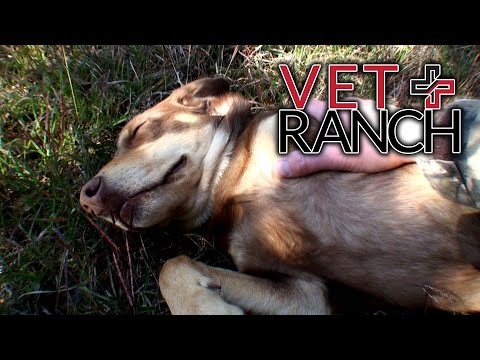 Remember the guy that was shooting a solid block of Titanium yesterday? Well he's also a vet for a non-profit he started