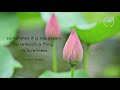 St Francis and the Sow (poem) - Galway Kinnell