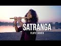 Animal satranga flute cover by divyansh shrivastava  ranbir kapoorrashmika arijit singh