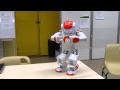 Nono le petit robot du bourgsouslaroche