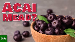 Let's Make Acai Mead - This One was a Little Sketchy!