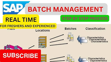 batch management in sap mm | real time work| #sap #sapcareer