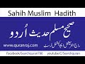 Sahih Muslim Hadith 5397