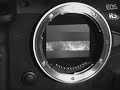 Slow Motion Shutter of Canon R5 1/500th second mechanical shutter - IX Cameras
