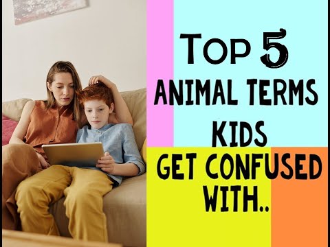 Top 5 Animal Terms KIDS get CONFUSED with | Bull,Buffalo,Cow,Ox & Bullock | Difference | Definitions