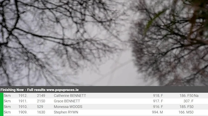 Jingle Bells 5km 2025