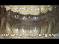 How to Create Retainers and Bleaching Trays