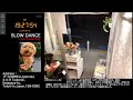 【Sun.06/14/2026 Livecamera at the florist】 スローダンス SLOWDANCE 等々力 尾山台 世田谷 Setagaya 東京 Tokyo 日本 Japan