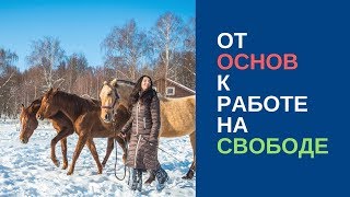 От базовых команд к работе c лошадью на свободе