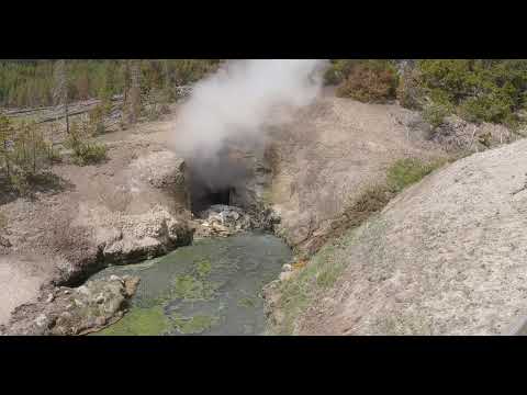 Video: Žensko So Napadli Loki V Nacionalnem Parku Yellowstone