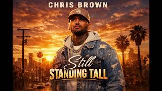 Chris Brown - Still Standing Tall