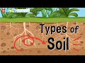 The Secrets of Soil Composition and Its Impact on Plant Growth