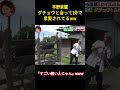 平野紫耀 ダチョウと会って1分で 求愛されてるww#面白い #お笑い #number_i #平野紫耀 #アイドル #バラエティ #切り抜き動画 #shorts