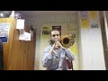 Despacito - Luis Fonsi feat. Daddy Yankee  alto trombone (cover) Pranas Dapšauskas