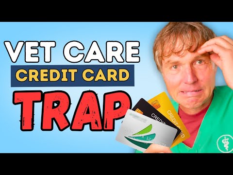 Member Only Petco Credit Card Can It Help You Afford Your Pets Healthcare Area - v2uugtx