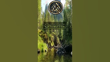 الله نور السموات والأرض مثل نوره كمشكاة فيها مصباح المصباح في زجاجة | الآية 35 من سورة النور