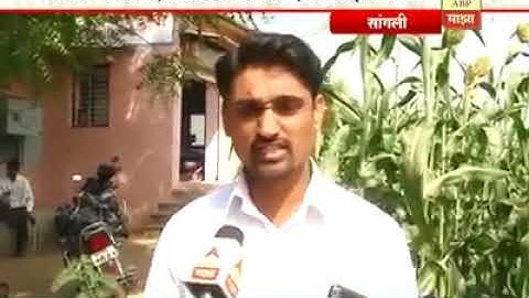 Jain Automation | #Automation_systems #abpmajhavideos #sangali #farming #agriculture #kisan #drip